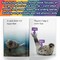 Carson Dellosa Spotlight on Reading Set C Early Readers Phonics Books, 8 Long Vowel Teams & Ending Blends Learn to Read Books for Kids 5-7 & User Guide, Kindergarten & 1st Grade Level 1 Reading Books
